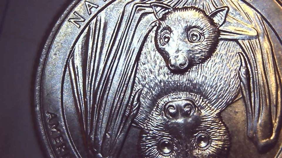 2020-American-Samoa-Strike-Through-Pattern?