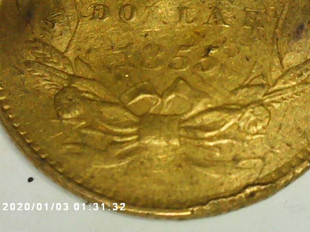 1855-Small-Head-Gold-Dollar-Coin