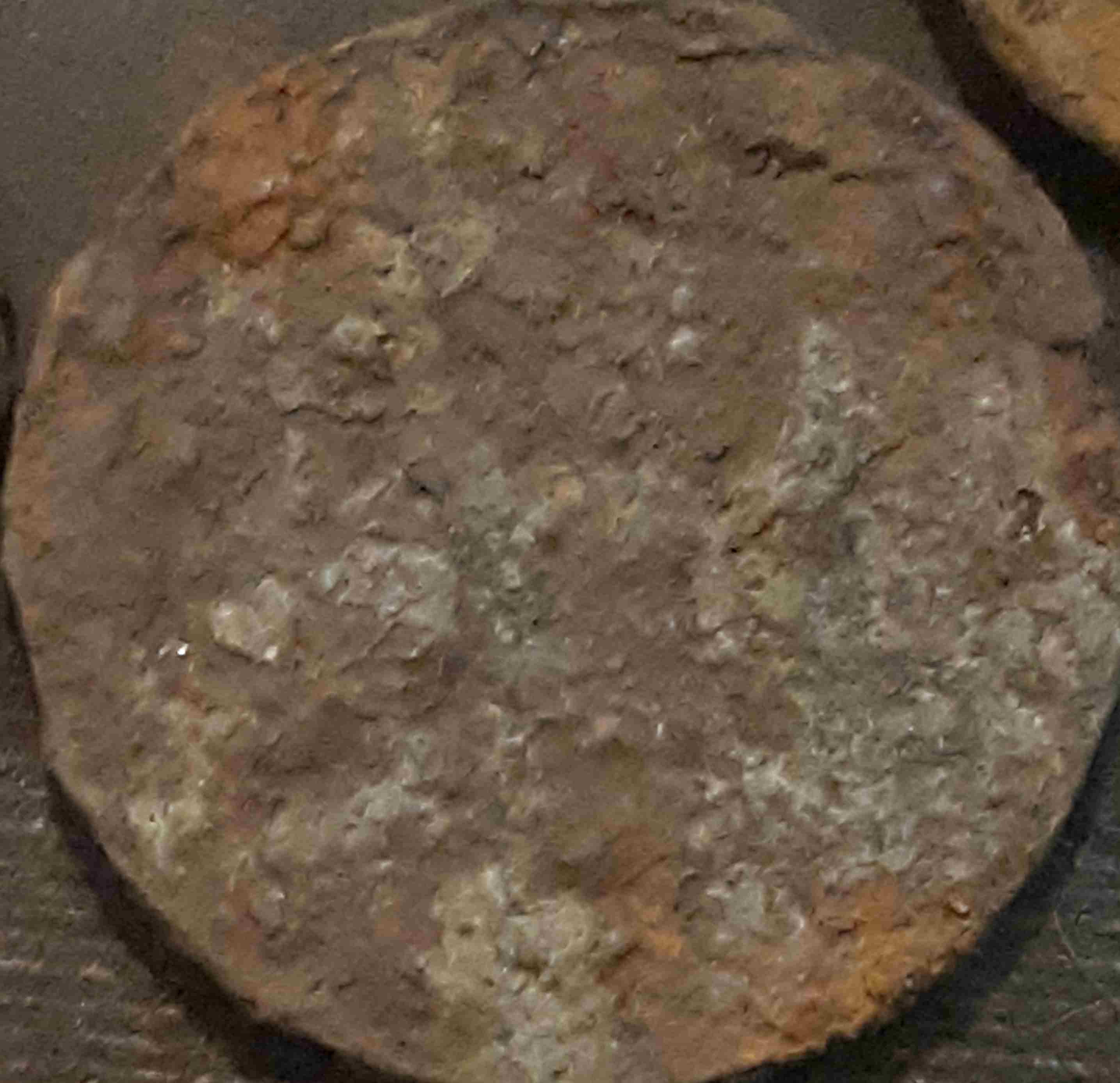 Found-A-Bunch-Of-Coins-Buried-In-Back-Yard