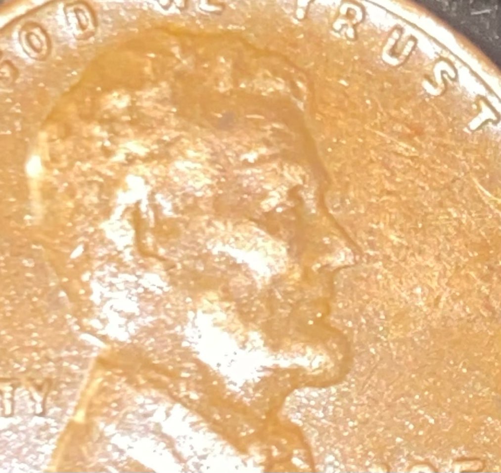 1954-D-LWC-Eyelid-Very-Prominent