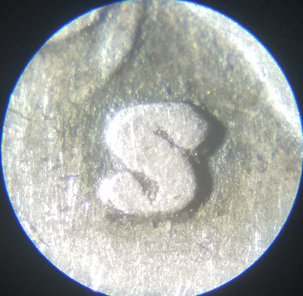 Appreciate-Help-W/-Silver-1945-S-Mercury-Dime-Possible-Imm-And-Or-RPM-?