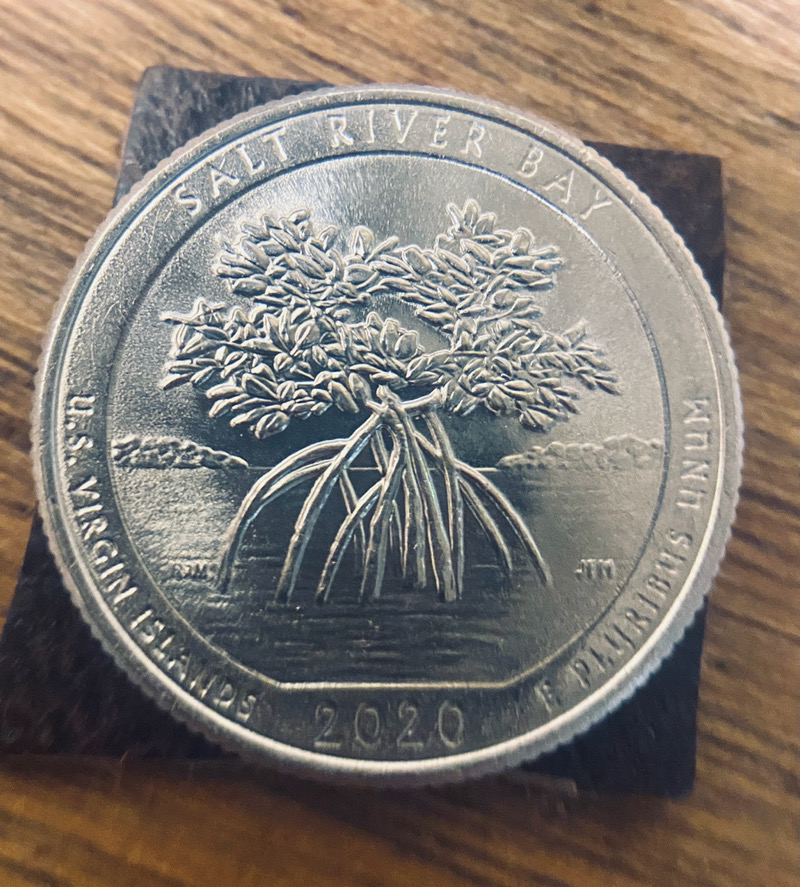 2020-Salt-River-Bay-ATB-Quarter