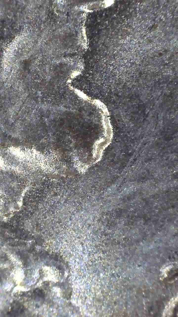 2021-D-DDO-Lincoln-Shield-Cent?