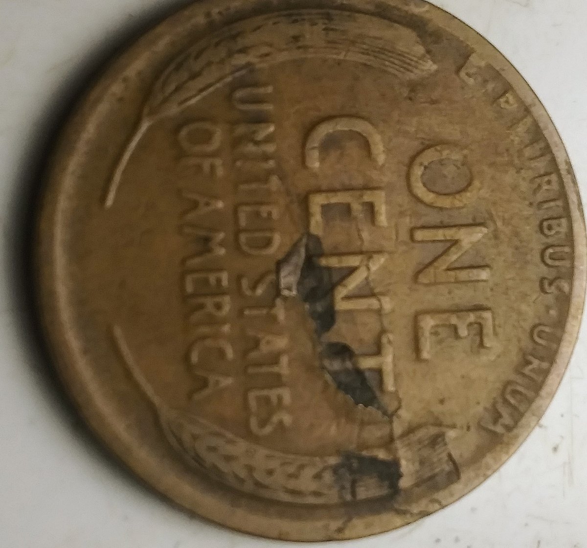 1917-S-LWC-Die-Cud-Or-Is-It-PMD?