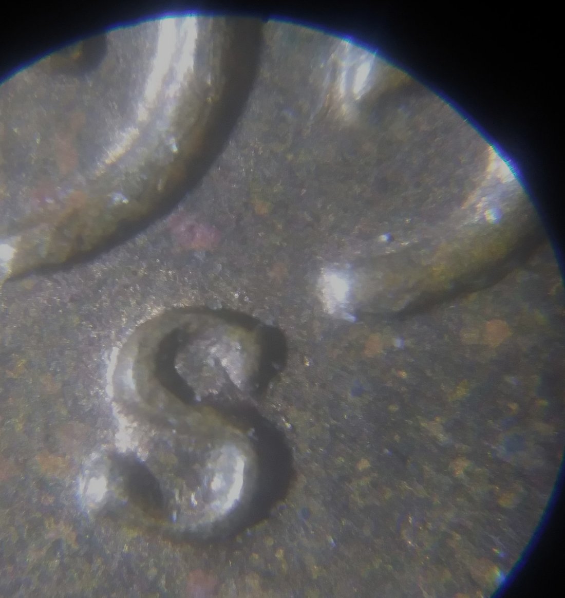 1954-S-Lincoln-Wheat-Cent