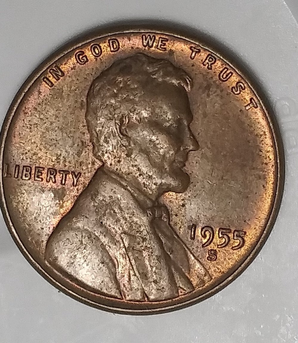 1955-S-Lincoln-Wheat-Cent-Die-Crack-On-Reverse-Next-To-Rim-Of-Coin
