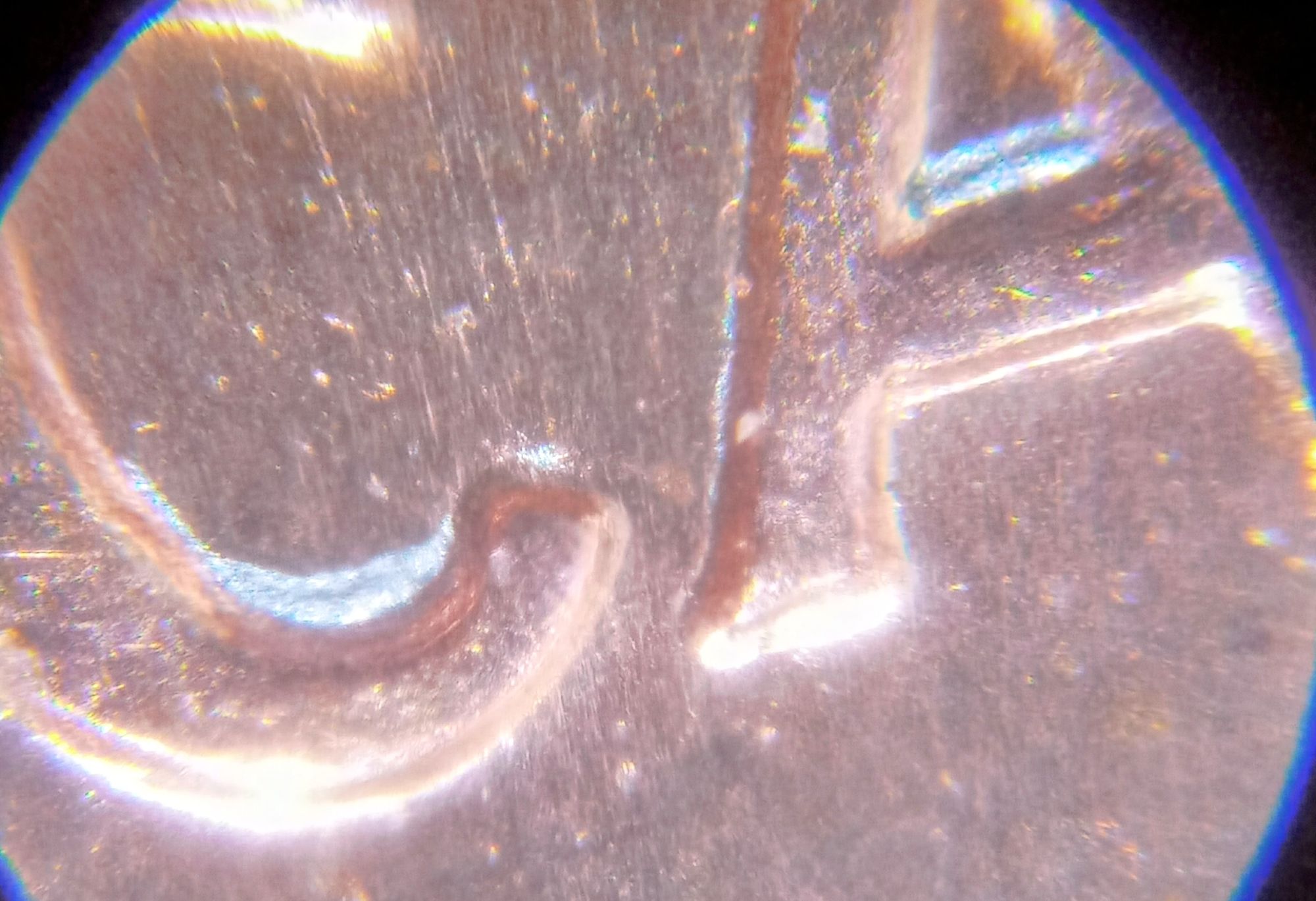 1992-D-Lincoln-Memorial-Cent-DDR-001-I-Think