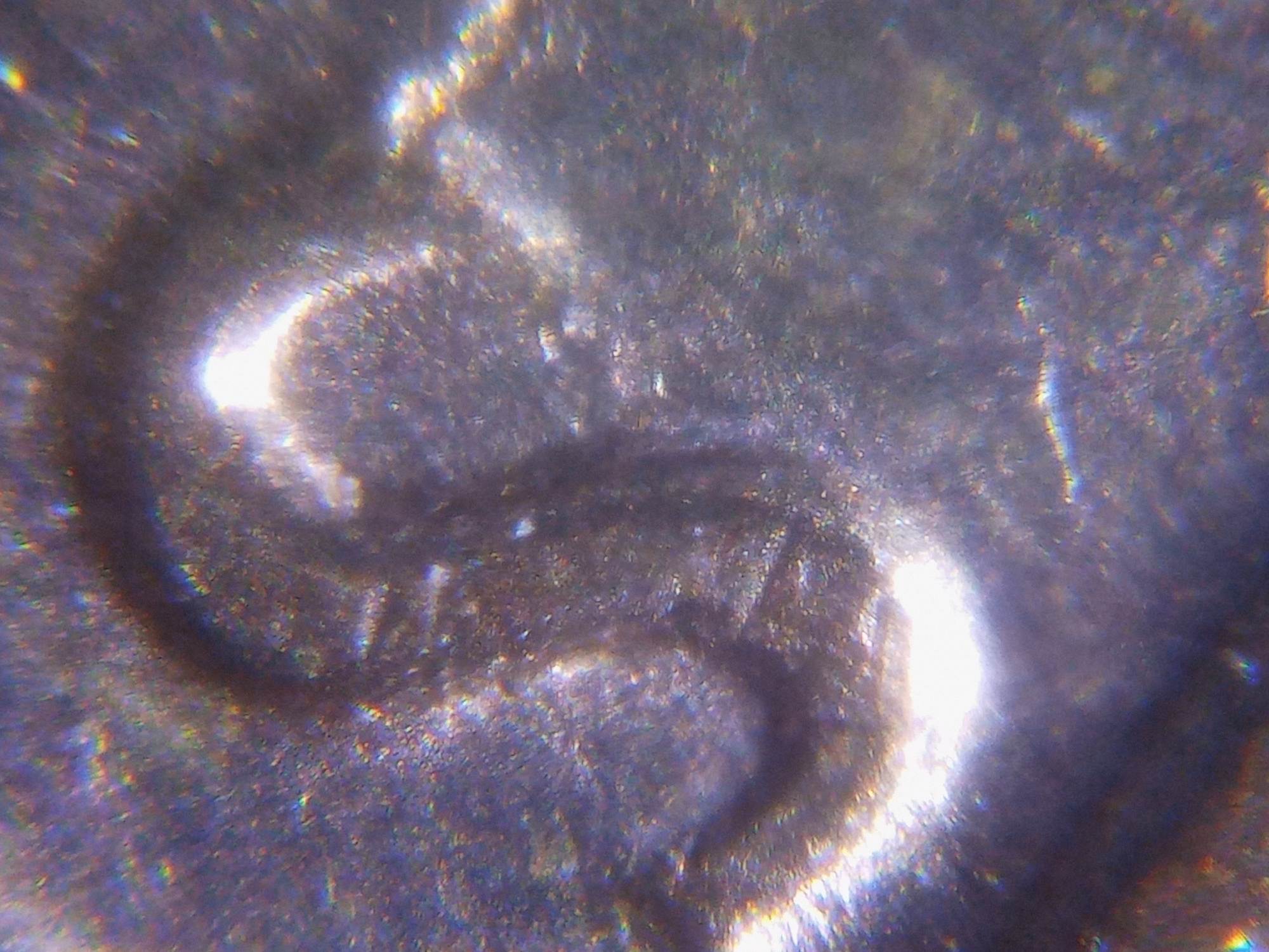 1974-S-Lincoln-Memorial-Cent-RPM-Or-DDO?