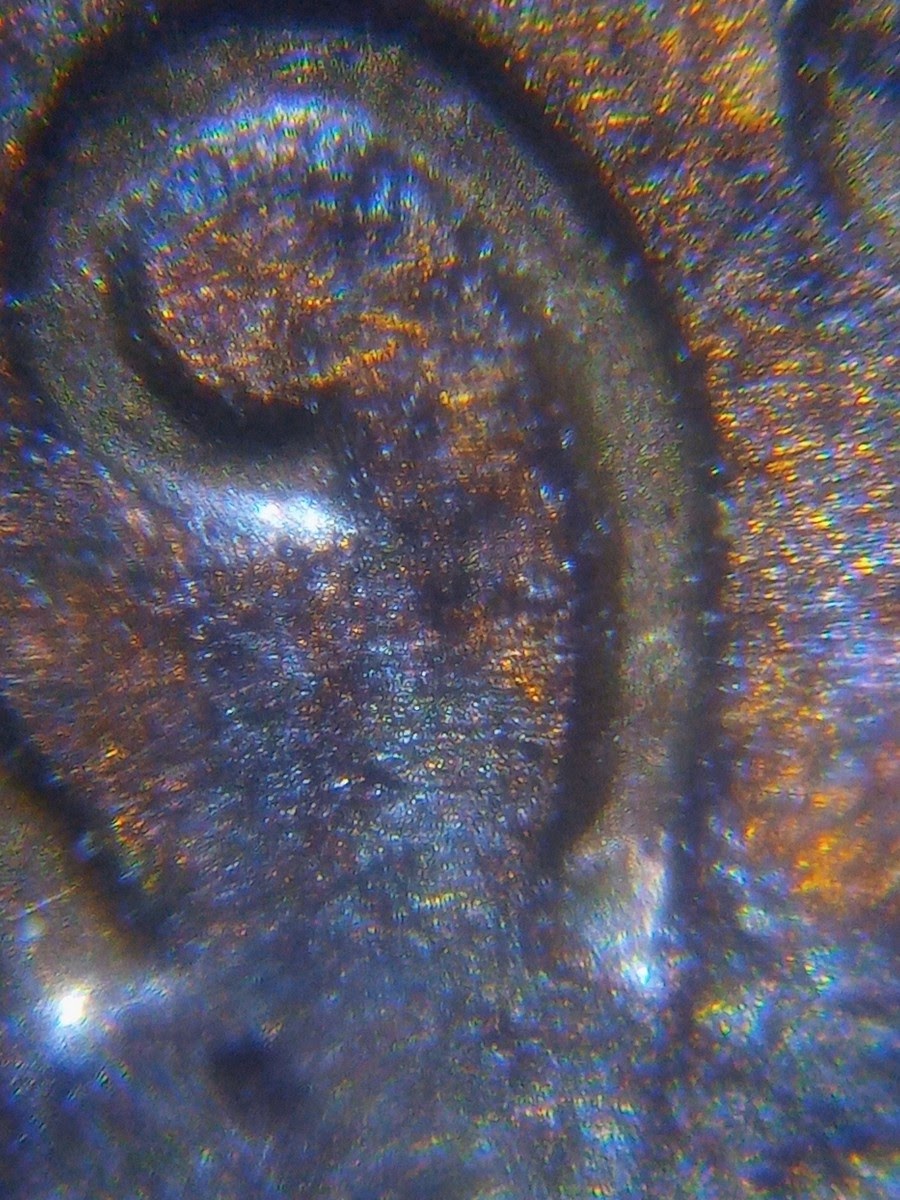 1982-D-Lincoln-Cent-Do?-Also-Epu-Look-Diff