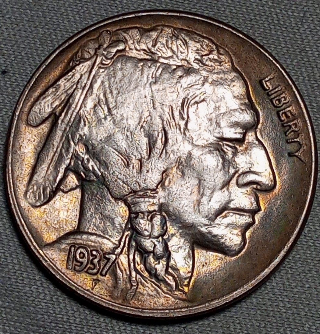 1937-D-Buffalo-Nickel-For-Grading