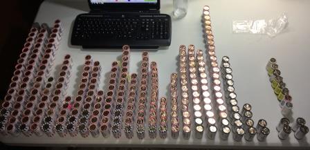 What-Would-You-Do?!?!--Presidential-Dollars-Approx-$6850