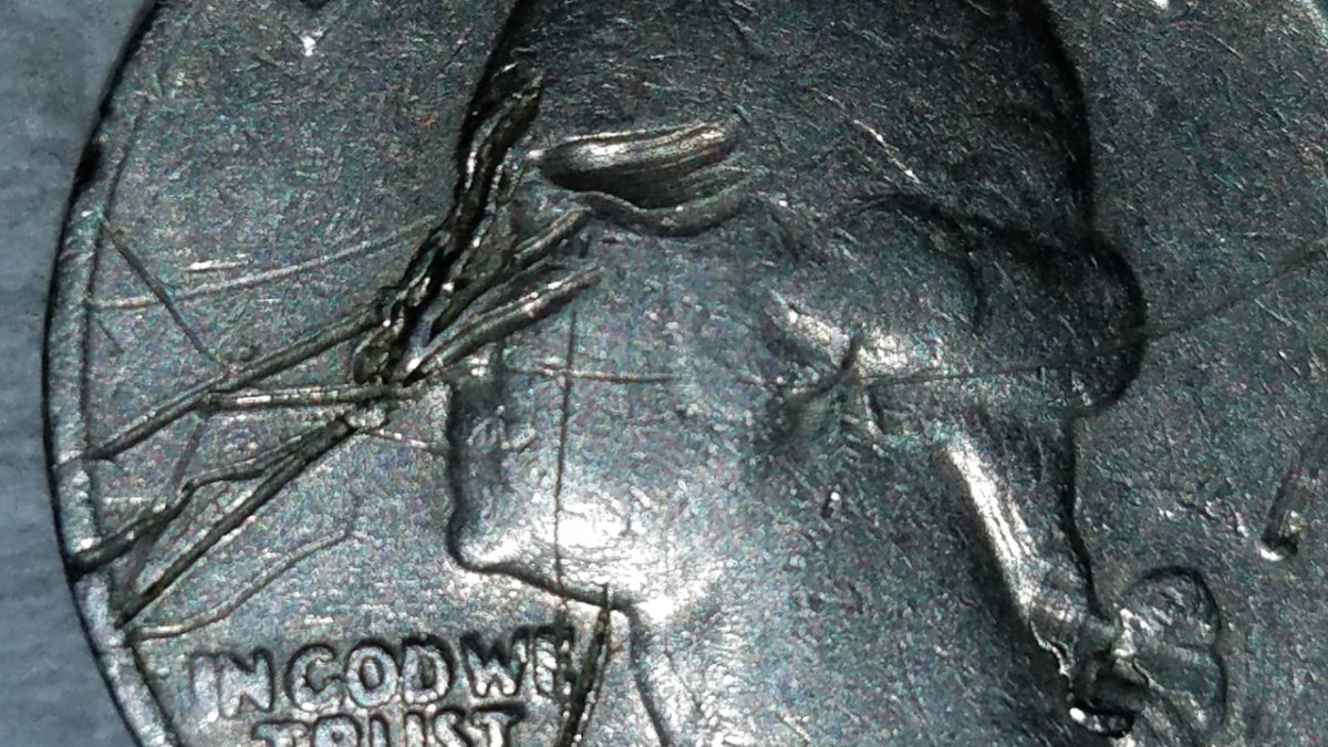 Help-With-This-Quarter.-Die-Gouges-Or-Just-Environmental?