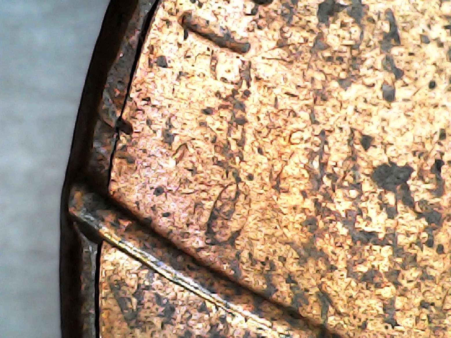 2016-Lincoln-Cent-Mule?
