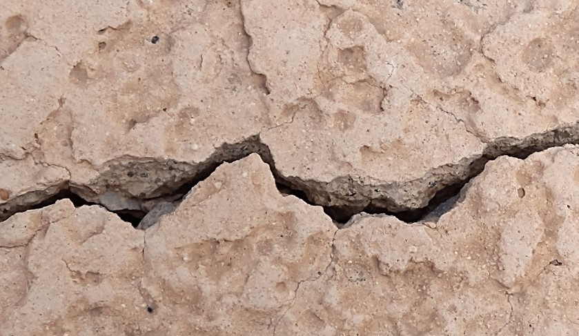 2028-Cumberland-Island-Quarter-Die-Crack?