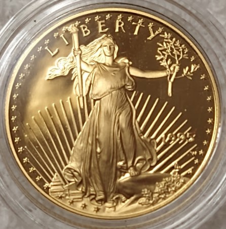 Dearborn's-American-Eagle-Coin-Collection.