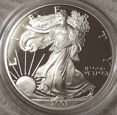 Dearborn's-American-Eagle-Coin-Collection.