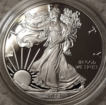 Dearborn's-American-Eagle-Coin-Collection.