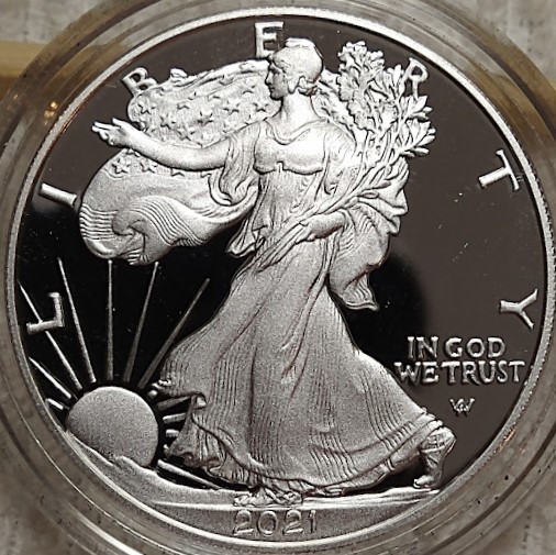 Dearborn's-American-Eagle-Coin-Collection.