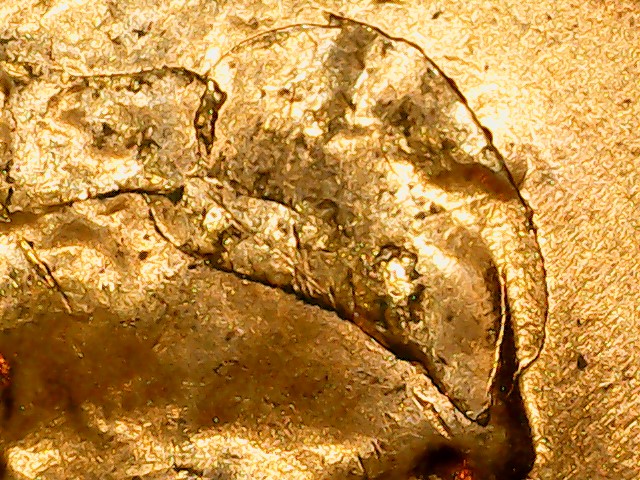 1957-D-LWC---I-Finally-Found-A-Great-Error-Coin---Interior-Die-Break