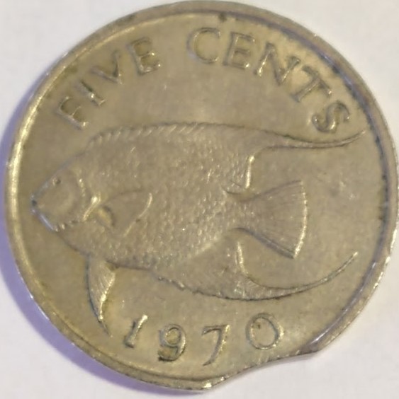 Show-Your-Clipped-Edge-Coins