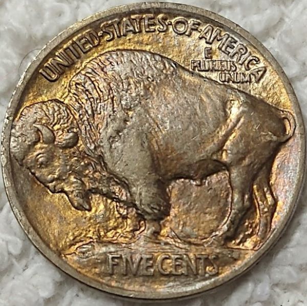 Bovine-Coins---Post-Yours