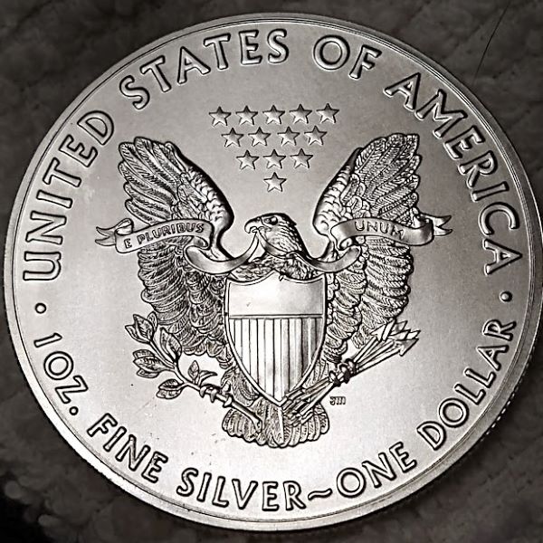 Dearborn's-American-Eagle-Coin-Collection.