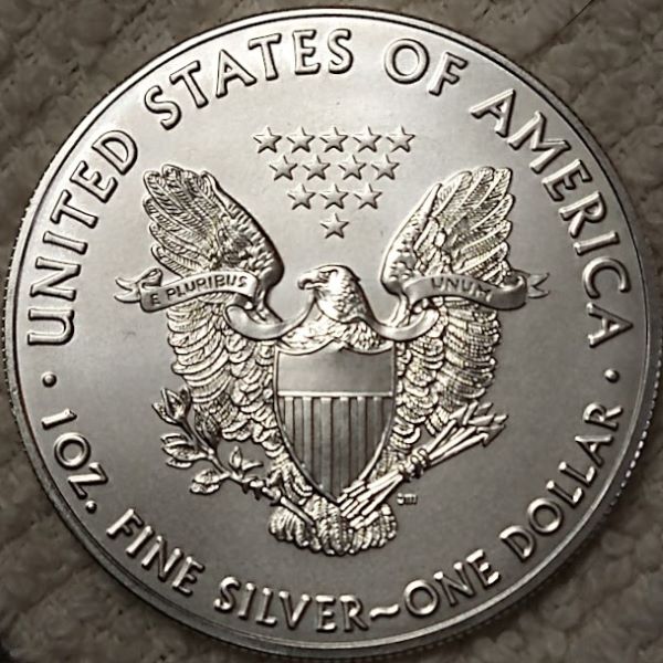 Dearborn's-American-Eagle-Coin-Collection.