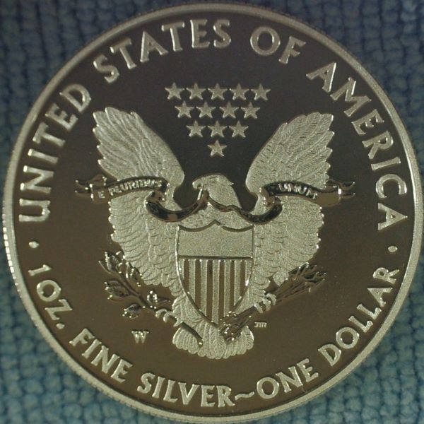 Dearborn's-American-Eagle-Coin-Collection.