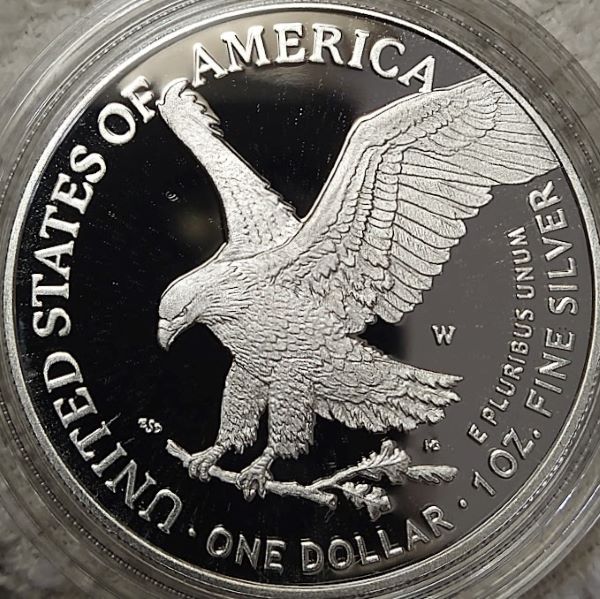 Dearborn's-American-Eagle-Coin-Collection.