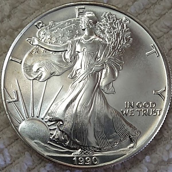 Dearborn's-American-Eagle-Coin-Collection.