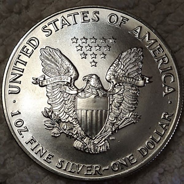 Dearborn's-American-Eagle-Coin-Collection.