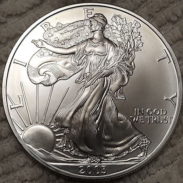 Dearborn's-American-Eagle-Coin-Collection.