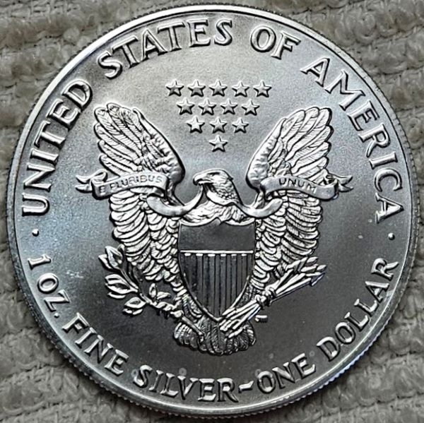 Dearborn's-American-Eagle-Coin-Collection.