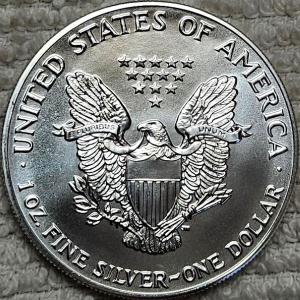 Dearborn's-American-Eagle-Coin-Collection.