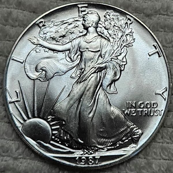 Dearborn's-American-Eagle-Coin-Collection.