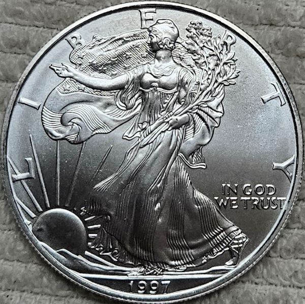 Dearborn's-American-Eagle-Coin-Collection.