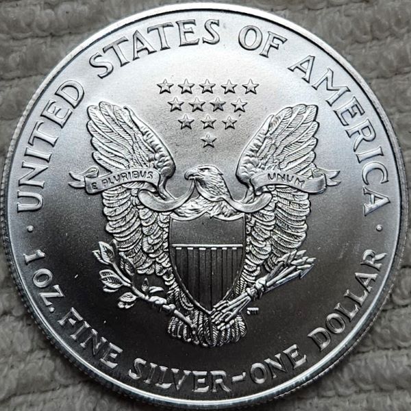 Dearborn's-American-Eagle-Coin-Collection.