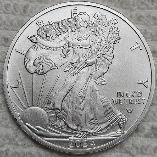 Dearborn's-7181/7182-American-Silver-Eagle-Albums---Bullion-And-Burnished-Version.