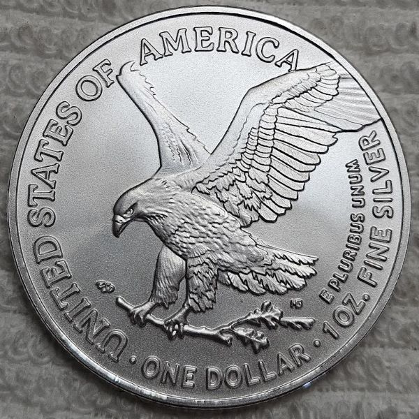 Dearborn's-7181/7182-American-Silver-Eagle-Albums---Bullion-And-Burnished-Version.