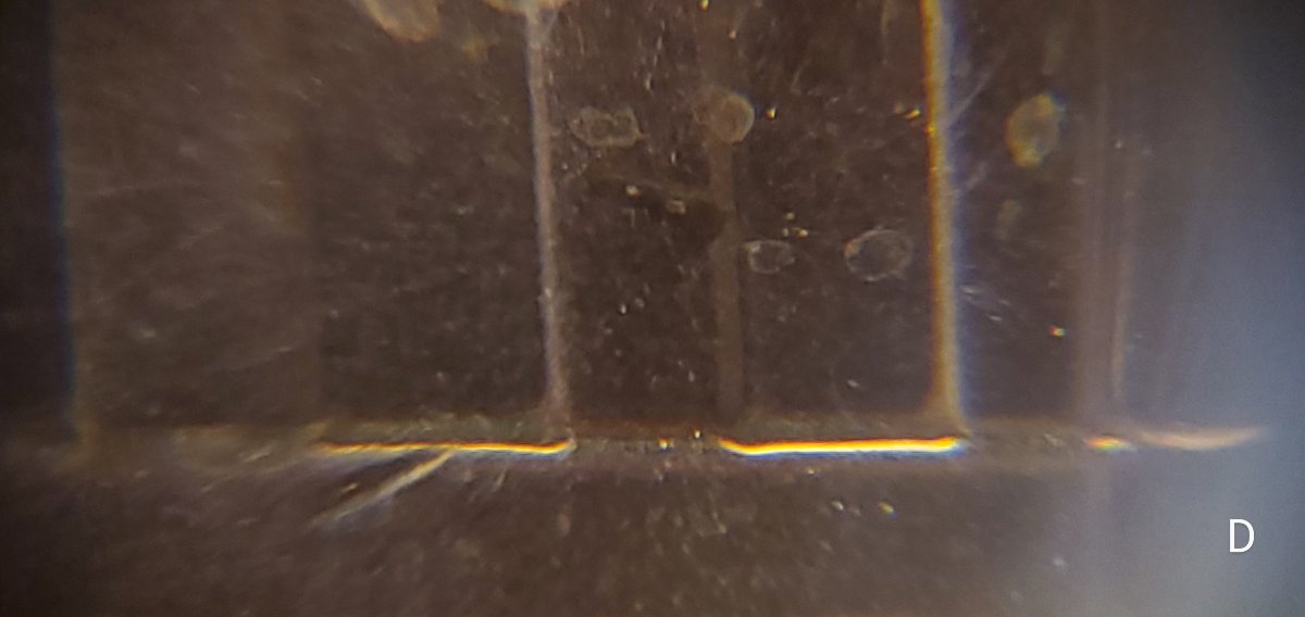 2021-D-Lincoln-Shield-Cent-Possible-DDR?