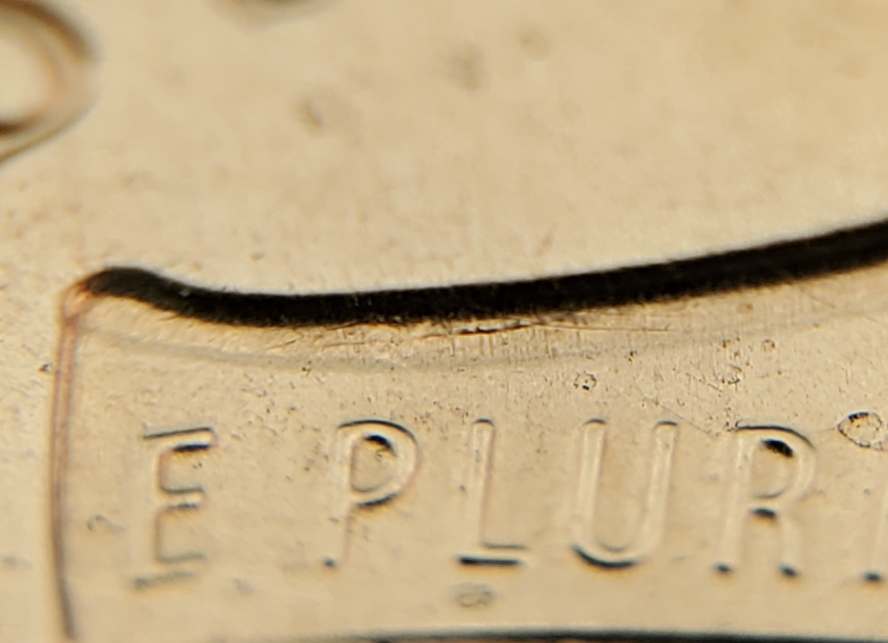 2021-D-Lincoln-Shield-Cent-Possible-DDR?