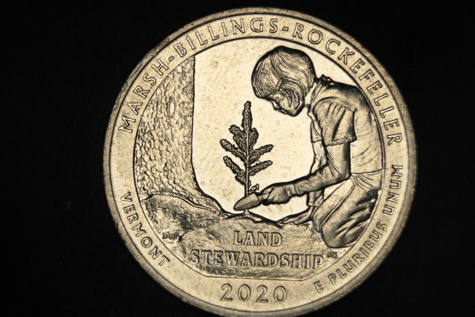 2020-W-Marsh-Billings-Possible-DDR?