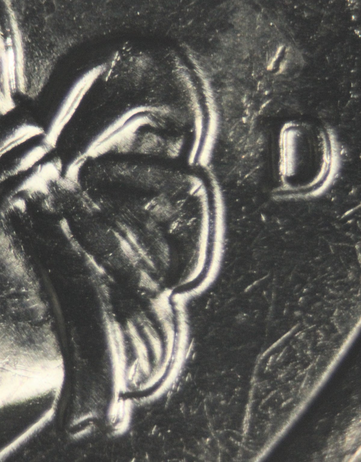 2021-D-Crossing-The-Delaware-Doubled-Ear?