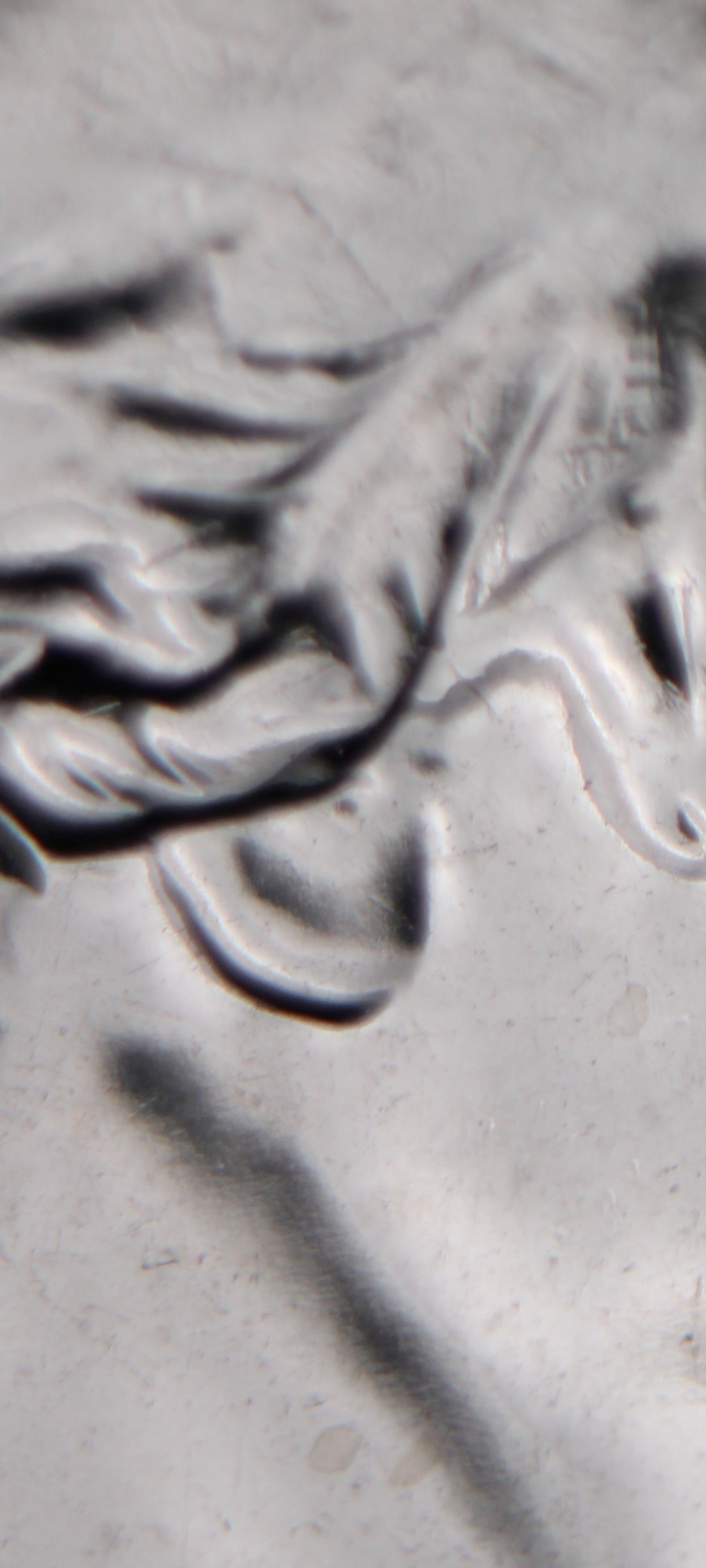 2022-D-Sally-Ride-Quarter-Question