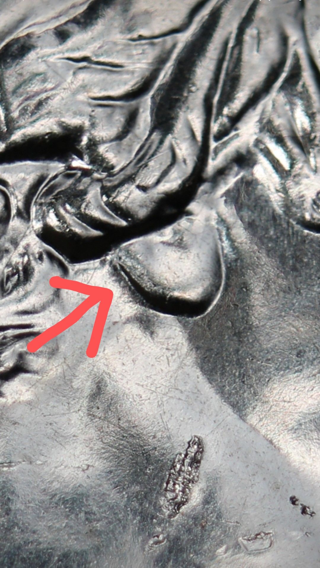 2022-D-Maya-Angelou-Ear-Question
