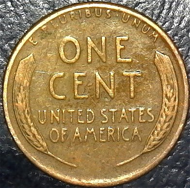 Interesting-Find-From-Circulation
