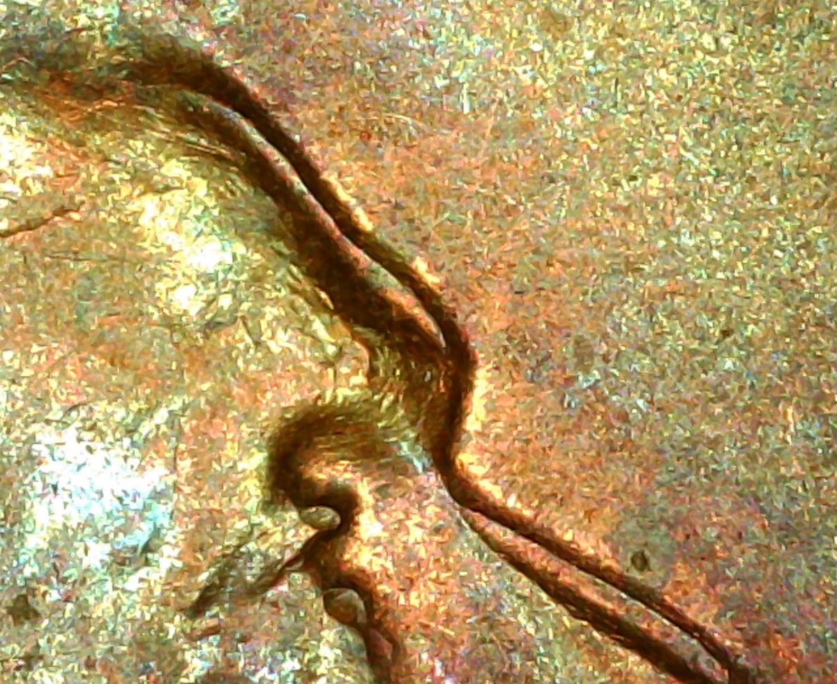 1967-P-1c-Not-Sure-What-This-Is
