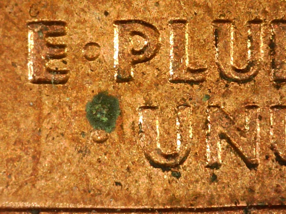 The-Elusive-1966-DDR