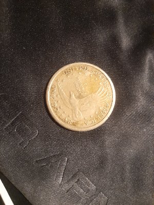 Sacagawea-Dollar-Very-Light-Color