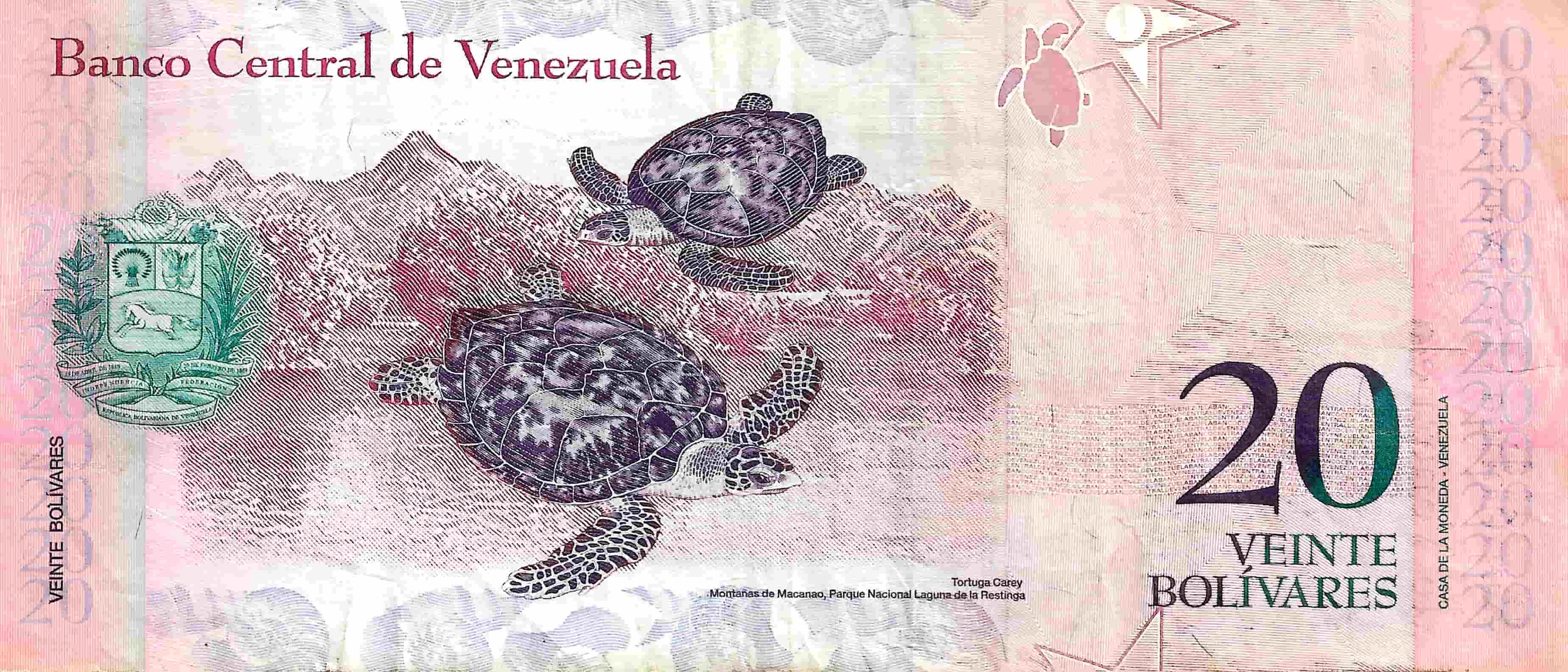 Women-On-Banknotes